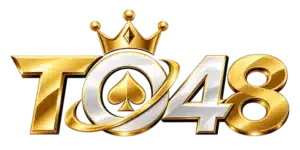 TO48-logo