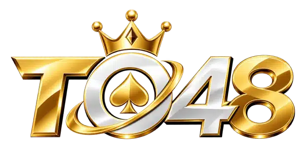TO48-logo